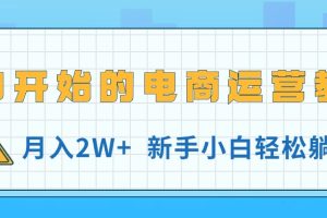 （11081期）从0开始的电商运营教学，月入2W+，新手小白轻松躺赚