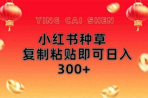 （14350期）小红书种草无脑操作复制粘贴即可日入300+