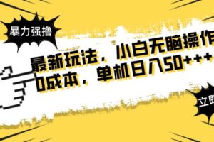 (14400期)最新玩法 广告暴力强撸 傻瓜式操作 无需养鸡 矩阵式操作 可无限放大 单…