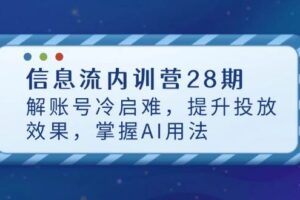 （14535期）信息流内训营28期，解账号冷启难，提升投放效果，掌握AI用法