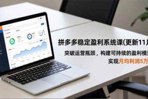 (16641期)拼多多稳定盈利系统课(更新11月),突破运营瓶颈,构建可持续的盈利模型,实现月均利润5万+