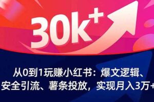(16725期)从0到1玩赚小红书:爆文逻辑、安全引流、薯条投放,实现月入3万+