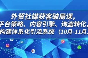 (16786期)外贸 社媒获客破局课,平台策略、内容引擎、询盘转化,构建体系化引流系统(10月-11月)